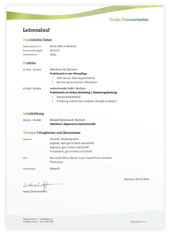 FSJ Bewerbung - Lebenslauf