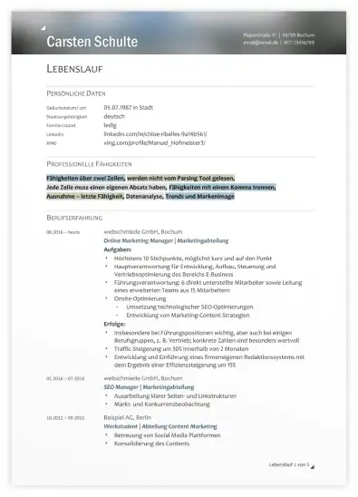 Beispiel Tabellarischer Lebenslauf Beispiel Tabellarischer Lebenslauf