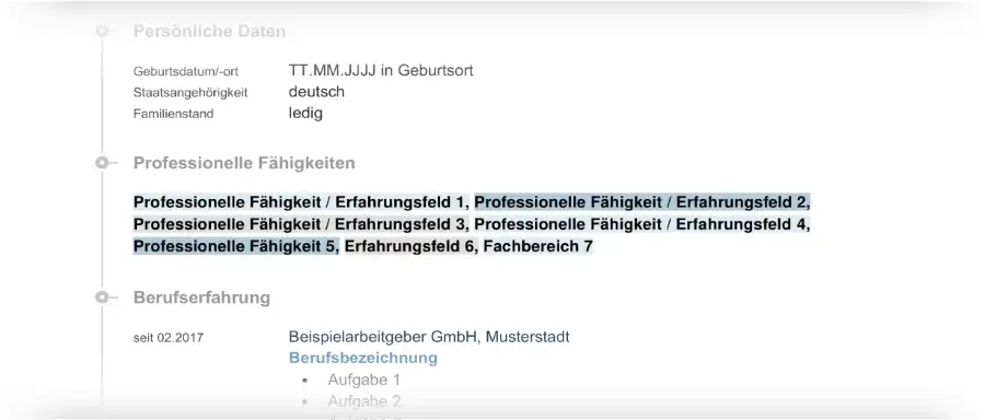 Lebenslauf Beispiel Fachbereiche Lebenslauf Beispiel Fachbereiche