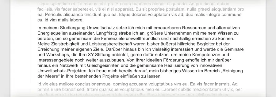 Motivationsschreiben Stipendium Hauptteil