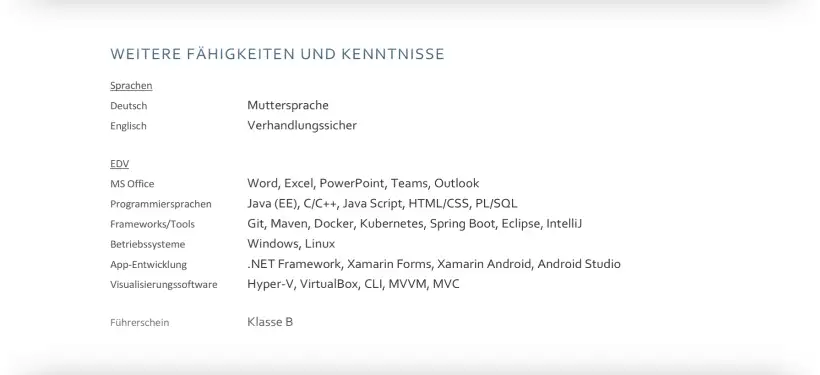 Bewerbung IT - Lebenslauf - Weitere Fähigkeiten