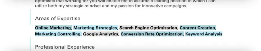 Curriculum Vitae / CV - Areas of Expertise
