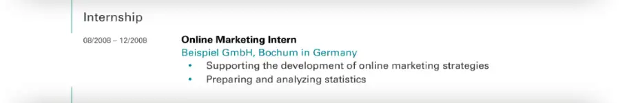 Curriculum Vitae / CV - Internships