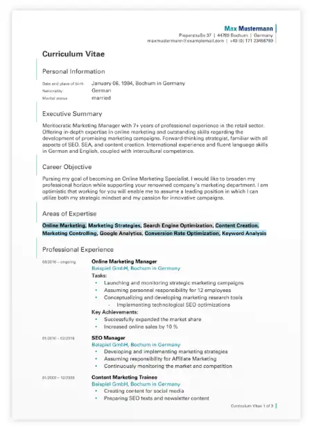 Curriculum Vitae / CV