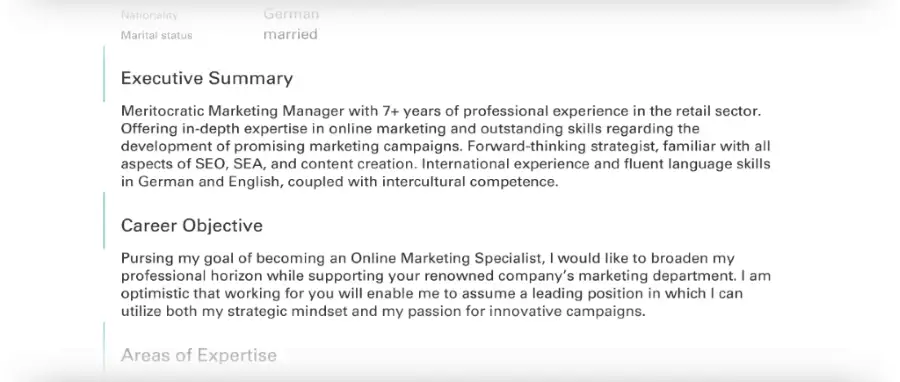 Curriculum Vitae / CV - Executive Summary + Career Objective