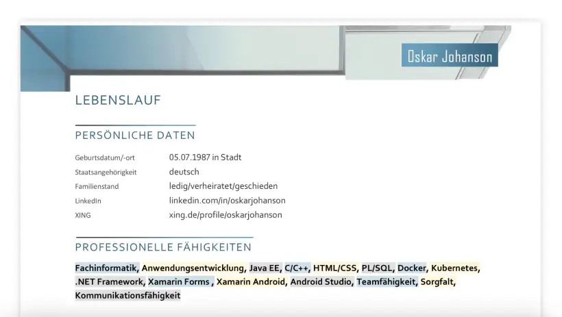 Bewerbung Fachinformatiker - Lebenslauf - Persönliche Daten