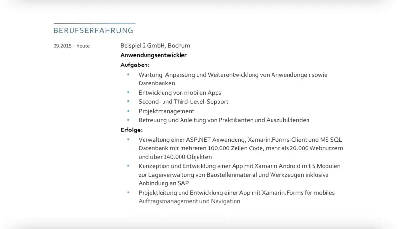 Bewerbung Fachinformatiker - Lebenslauf - Berufserfahrung