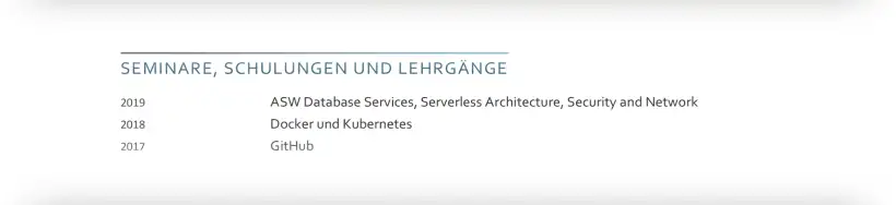 Bewerbung Fachinformatiker - Lebenslauf - Weiterbildungen