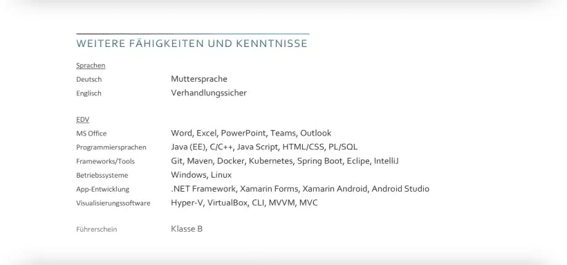 Bewerbung Fachinformatiker - Lebenslauf - Weitere Fähigkeiten